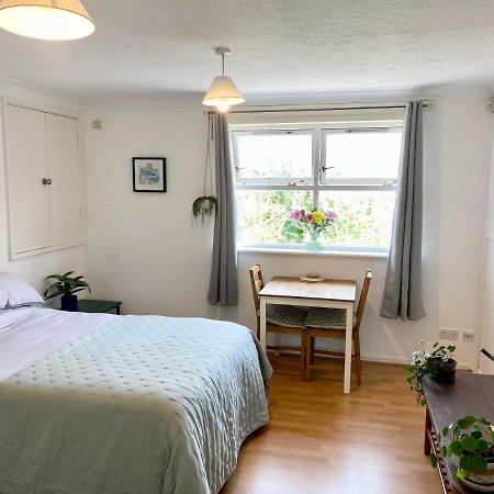 Bright And Comfortable Studio Apartment Londyn Zewnętrze zdjęcie