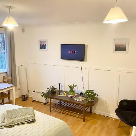 Bright And Comfortable Studio Apartment Londyn Zewnętrze zdjęcie