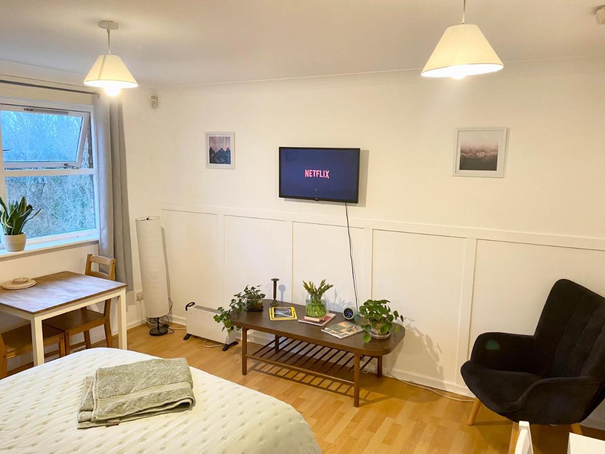 Bright And Comfortable Studio Apartment Londyn Zewnętrze zdjęcie